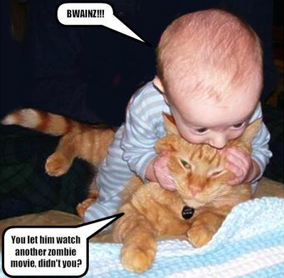 Funny Cat And Baby Meme Caturday Funny Memes