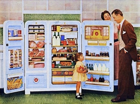 The Internet of Things and the Mythical Smart Fridge | Daily Magazine | Scoop.it