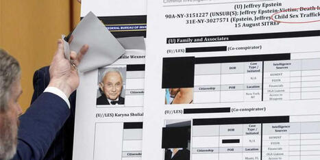 GOP donor's Epstein denials dismantled on MS NOW: 'Come on, man. No one believes that' - Raw Story | Operation Phobos | Scoop.it