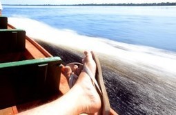 Tips to have a Healthy Feet - Foot Health Central | Foot Health | Scoop.it
