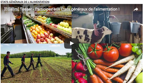 #EGalim : Pourquoi des États généraux de l'alimentation ? | Alim'agri | Vers la transition des territoires ! | Scoop.it