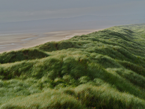 Rain Sideways by Paul Evans | Nature Flash | Scoop.it