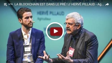 Nouvelles technologies Herv&eacute; Pillaud&nbsp;: &laquo;&nbsp;La blockchain apportera plus de tra&ccedil;abilit&eacute; &agrave; l'agriculture&nbsp;&raquo; | Actualit&eacute;s de l'&eacute;levage | Scoop.it