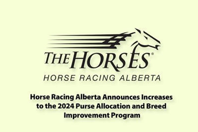 Horse Racing Alberta Unveils New Business Plan - BloodHorse | Racing Regulatory Issues | Scoop.it