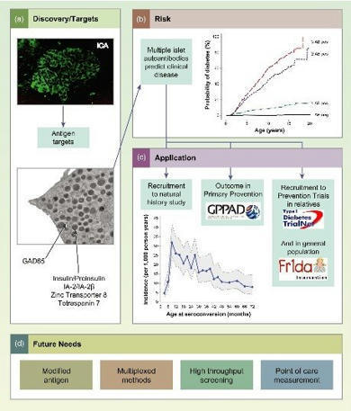 Clinical & Experimental Immunology | AUTOIMMUNITY | Scoop.it