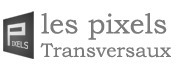 APPENDICKS | Les PIXELS Transversaux | Digital #MediaArt(s) Numérique(s) | Scoop.it