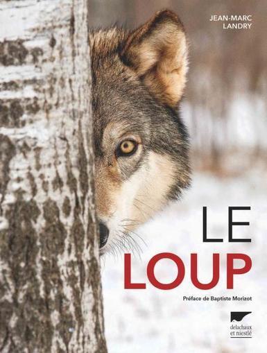 Le Loup - Jean-Marc Landry | Biodiversit&eacute; | Scoop.it