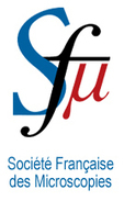 Le grand prix «Raimond Castaing» de la Société Française des Microscopies (SFµ) | Life Sciences Université Paris-Saclay | Scoop.it