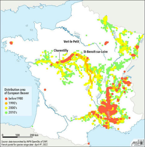 Our Neighbor the Beaver: Anthropomorphism to Facilitate Environmental Mediation in Rural France | Biodiversité | Scoop.it