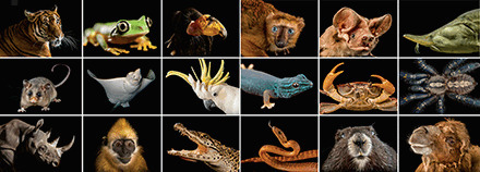 Ecosystem Earth | Life Sciences Université Paris-Saclay | Scoop.it
