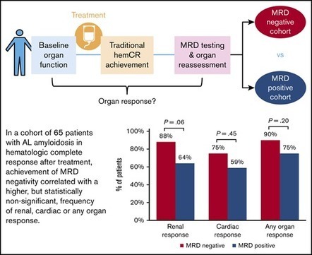 Assessment of minimal residual disease using mu...