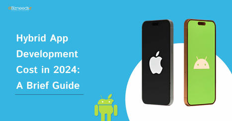 Hybrid App Development Cost in 2024: A Quick Guide | Web Development and Software Development Company USA | Scoop.it