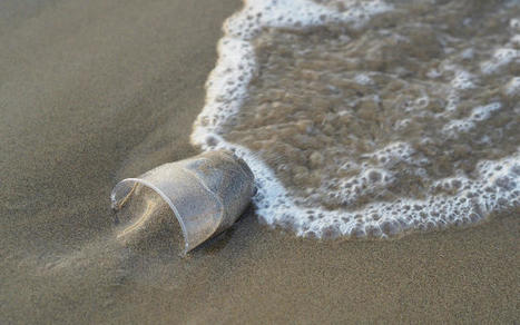 Loi anti-gaspillage : La France vise une r&eacute;duction de 20 % des emballages plastiques &agrave; usage unique d&rsquo;ici 2025 | Actualit&eacute;s Achats Responsables | Scoop.it