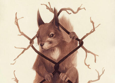 Pihan ja puutarhan vieraat &ndash; Aura Koivisto toivottaa j&auml;nikset ja myyr&auml;t tervetulleiksi pihamaalleen | 1Uutiset - Lukemisen t&auml;hden | Scoop.it