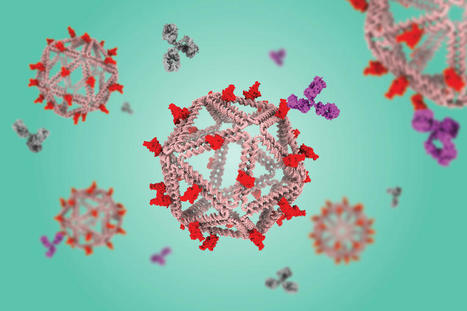 DNA particles that mimic viruses hold promise as vaccines | Amazing Science | Scoop.it