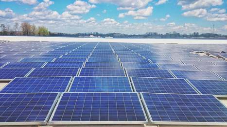 Solar City: The Future of Florida's Energy | Technology in Business Today | Scoop.it