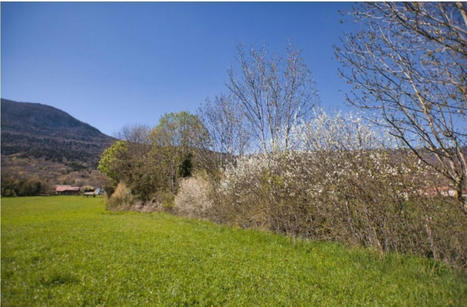 Jura. Le Parc Naturel R&eacute;gional du haut Jura rappelle que la haie est un "&eacute;l&eacute;ment fondamental" &agrave; conserver | Voix du Jura | Parcs nationaux, r&eacute;gionaux et autres espaces naturels prot&eacute;g&eacute;s | Scoop.it