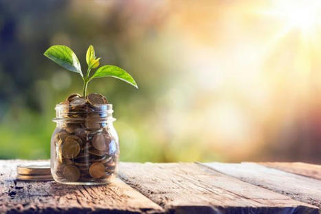 Un soutien de l&rsquo;&Eacute;tat grandissant vers les projets verts | Environnement | Scoop.it