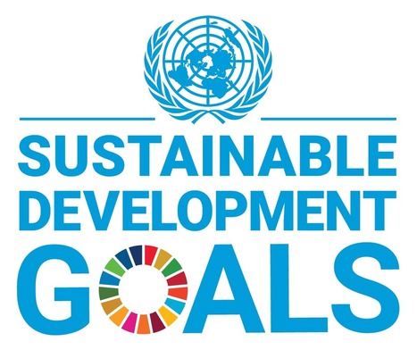 In 2020 will your students learn about the Sustainable Development Goals? - regardless of course or grade? | Education 2.0 & 3.0 | Scoop.it