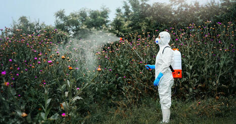 Le glyphosate favorise-t-il le cancer ? Une nouvelle étude relance le débat | ITERG - Veille sectorielle | Scoop.it