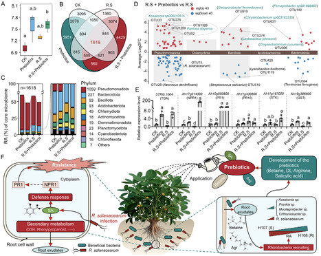 Resistant Peanut Genotype Reprograms Rhizosphere Metabolism to Enhance Bacterial Wilt Suppression | advS | RMH | Scoop.it
