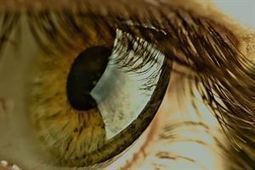 La mitad de los casos de pérdida de visión  pueden evitarse con la detección temprana | Salud Visual 2.0 | Scoop.it