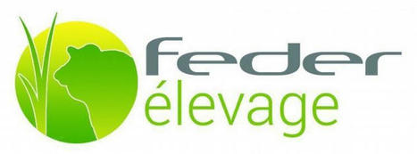 Elevage bovin : feu vert à la fusion entre les coopératives Global et Socaviac | Actualité Bétail | Scoop.it