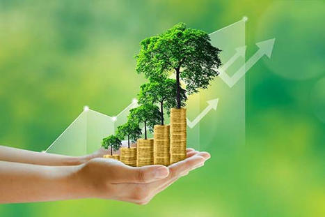 The rising need for sustainable procurement  | EcoVadis in the Press - Articles and bylines | Scoop.it