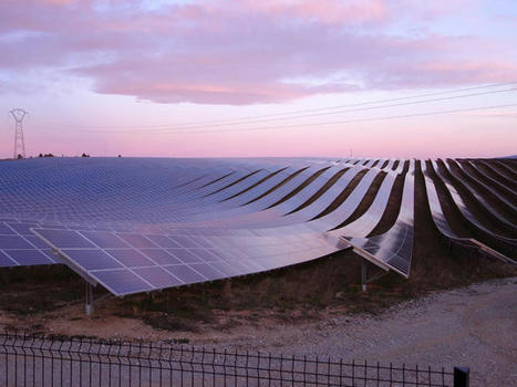 Lancement de l'appel à projets ENVOLtaïque | Biodiversité | Scoop.it