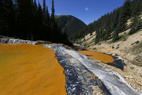 EPA silent on firings one year after toxic mine spill / 04.08.2016 | Pollution accidentelle des eaux par produits chimiques | Scoop.it