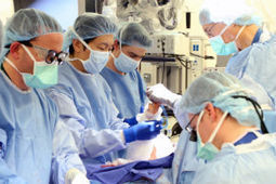 Team Of Doctors Successfully Perform Double Arm Transplant On Veteran | Longevity science | Scoop.it