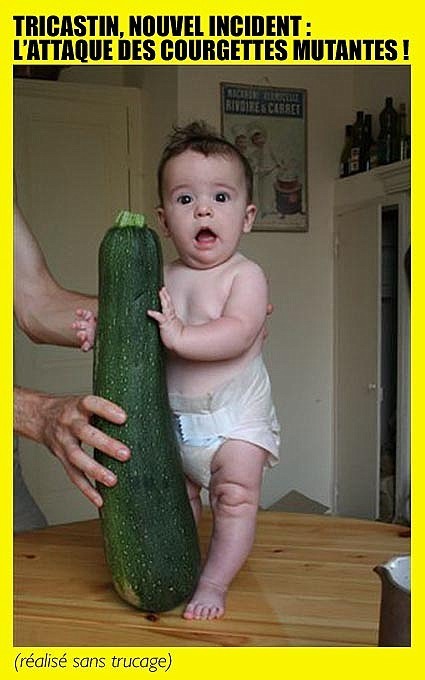 Le procureur Philippe Courroye conteste en justice sa mutation | Chronique des Droits de l'Homme | Scoop.it