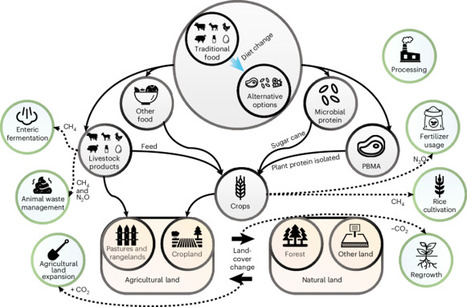 Plant-based meat alternatives can support reductions in agricultural land expansion and greenhouse gas emissions but entail micronutrient trade-offs | Nfd | RMH | Scoop.it