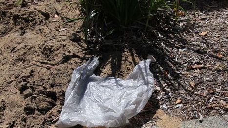 Looming plastic bag ban has people wondering how they'll cope without them - ABC News (Australian Broadcasting Corporation) | Children Family and Community | Scoop.it