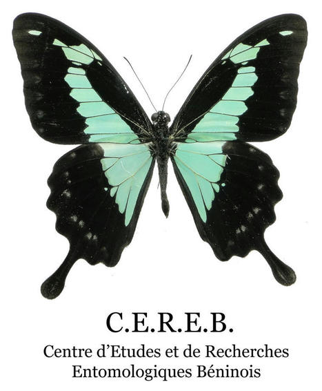 l'Association C.E.R.E.B. Centre d' Etudes et de Recherches Entomologiques Béninois | Au fil des Associations | Scoop.it