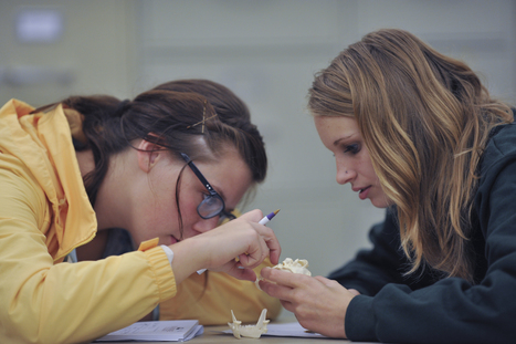 FYI: 80% of Young Environmental Scientists Could Use More Natural History Training | Rainforest CLASSROOM | Scoop.it