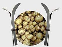 Facts about Finland: Food | Lehti | Scoop.it