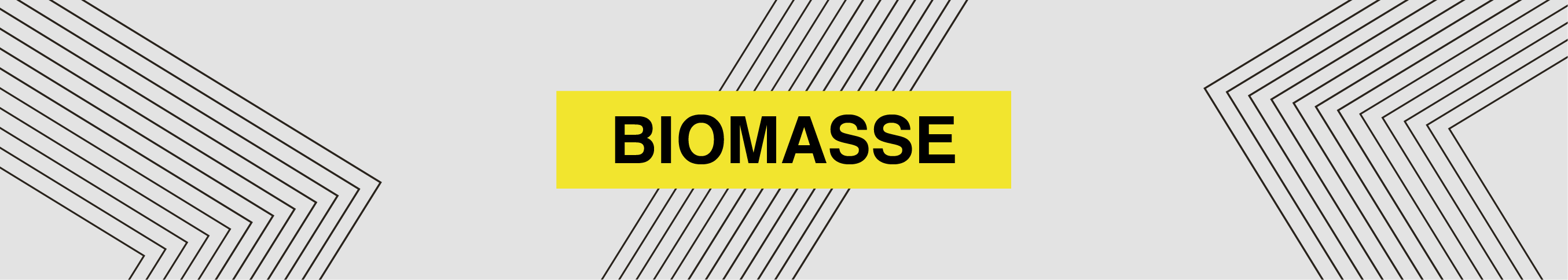 BIOMASSE