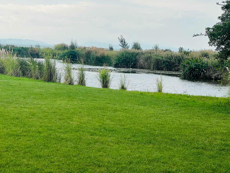 Autour du lac Dianchi en Chine : une ceinture verte pour un avenir bleu [La presse tunisienne] | Kunming-Yunnan | Scoop.it