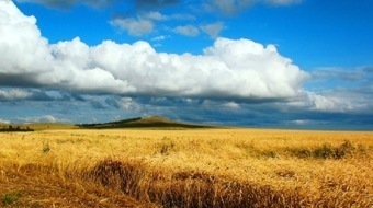 Russia has become an agricultural powerhouse, but remains a net importer of food | CONFLIT RUSSO-UKRAINIEN | Scoop.it