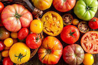 Agriculture : une innovation pour redonner du goût aux tomates