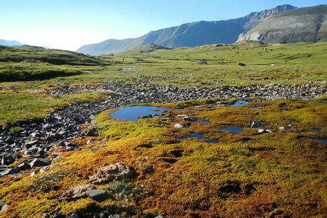 Parc national des Pyrénées : préservons et restaurons les milieux aquatiques et humides | Vallées d'Aure & Louron - Pyrénées | Scoop.it