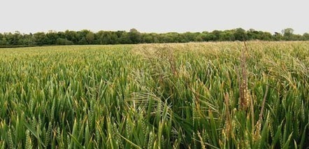 Agri-Brexit Coalition prepares to play its part for the future of UK food and farming | Revue de presse - Club DEMETER | Scoop.it