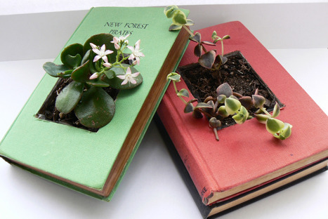 Upcycle vintage books with succulents | Vintage Living Today For A Future Tomorrow | Scoop.it