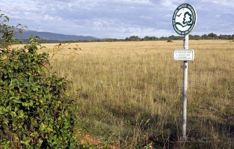 Producteur de biodiversité depuis 40 ans, le conservatoire des sites alsaciens (CSA) | Biodiversité | Scoop.it