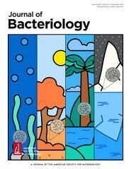 Découverte d'un système essentiel à l'adaptation de Yersinia pestis à la puce vectrice de la peste, par lequel la bactérie optimise la colonisation de l'intestin de l'insecte | EntomoNews | Scoop.it