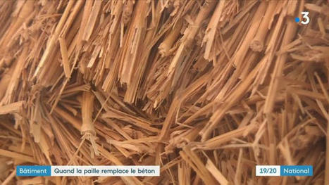 Constructions : la paille a le vent en poupe - France 3 tv | Architecture de terre & Matériaux bio-sourcés | Scoop.it