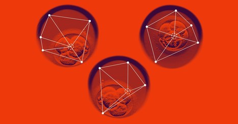 AI Could Scan IVF Embryos to Help Make Babies More Quickly | cross pond high tech | Scoop.it