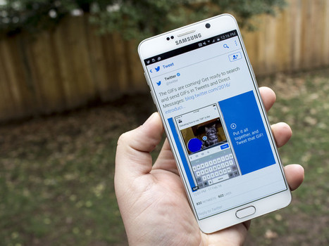 Twitter is adding a dedicated GIF button with searches powered by Giphy and Riffsy | Social Media Power | Scoop.it