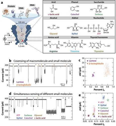 Nanopore Single-Molecule Chemistry | RMH | Scoop.it